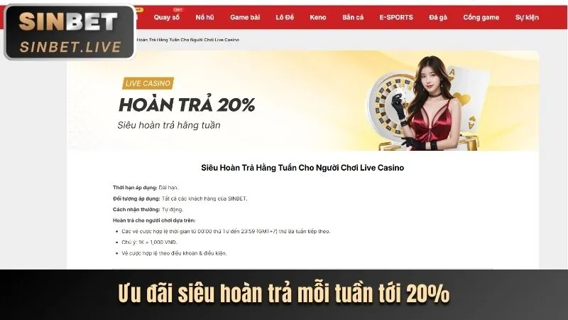 Tính năng mới của 3bet App